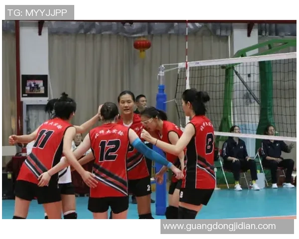 北京排球队转型之路:从传统强队到现代化竞技新模式的深度解析 北京排球队转型之路:从传统强队到现代化竞技新模式的深度解析