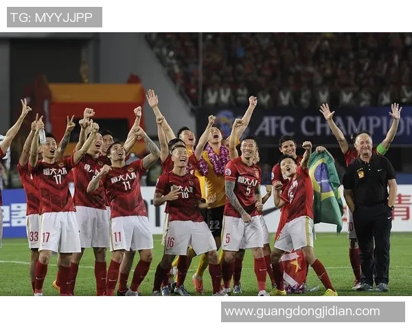 共创足球草的未来愿景与发展路径探讨