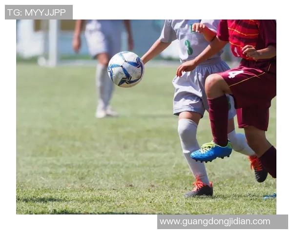 足球的魅力与激情探讨:从场上技艺到球迷文化的全方位解析 足球的魅力与激情探讨:从场上技艺到球迷文化的全方位解析